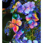 fullOM™ Limited Edition Prints - ":1022-F GT/526"