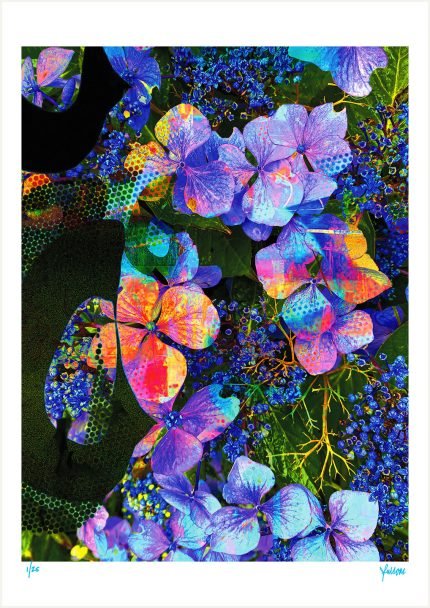 fullOM™ Limited Edition Prints - ":1022-F GT/526"