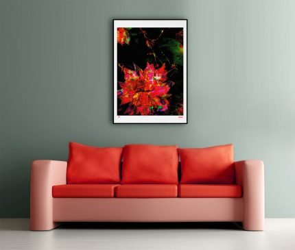 fullOM™ Limited Edition Prints - ":1449-Sc SV/067"