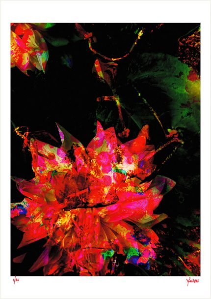 fullOM™ Limited Edition Prints - ":1449-Sc SV/067"