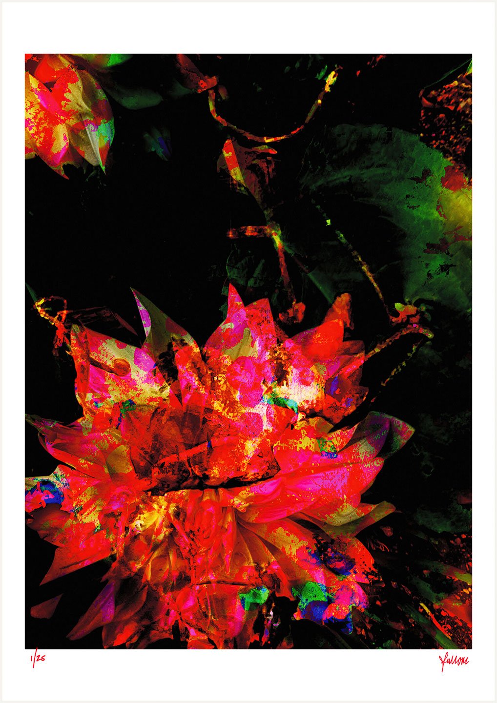 fullOM™ Limited Edition Prints - ":1449-Sc SV/067" fullOM™ Limited Edition Prints - ":1449-Sc SV/067"