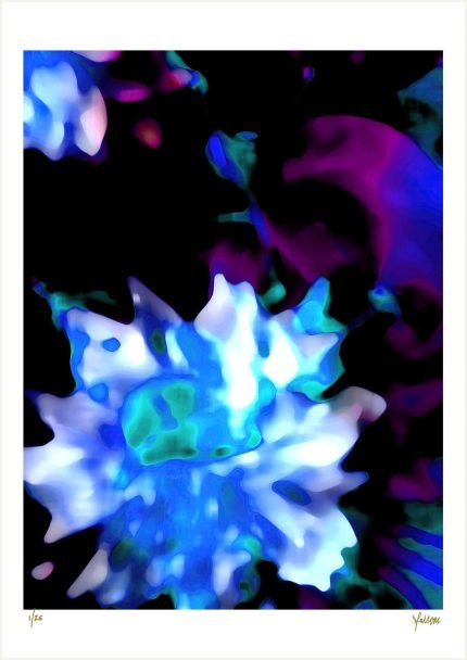 fullOM™ Limited Edition Prints - ":2049-Ta JX/455"