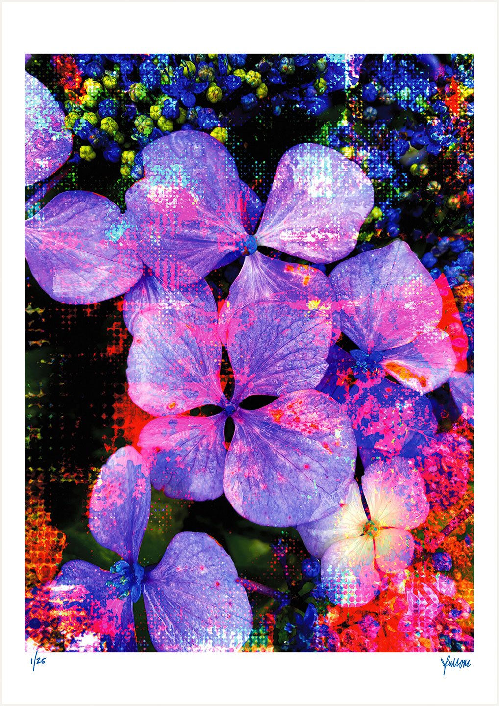 fullOM™ Limited Edition Prints - ":2804-No CV/617" fullOM™ Limited Edition Prints - ":2804-No CV/617"