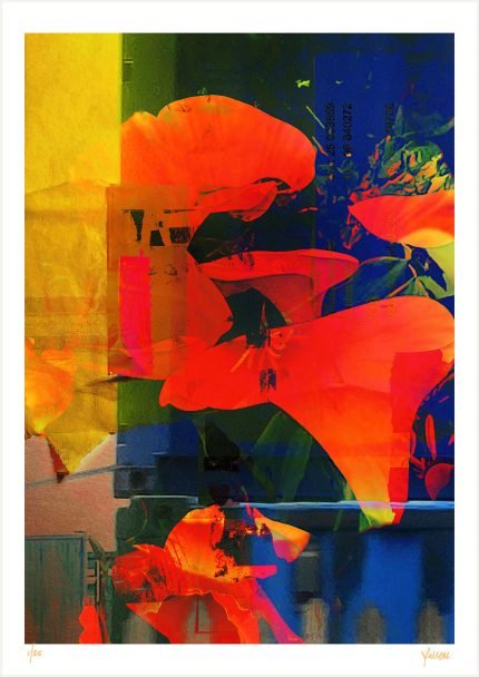 fullOM™ Limited Edition Prints - ":3013-Te TK/680"