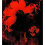fullOM™ Limited Edition Prints - ":5685-Y VF/360 Red"