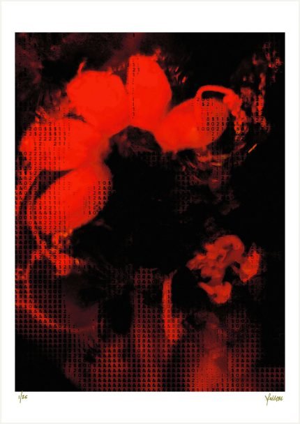 fullOM™ Limited Edition Prints - ":5685-Y VF/360 Red"
