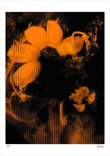 fullOM™ Limited Edition Prints - ":5685-Y VF/360 Yellow"