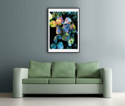 fullOM™ Limited Edition Prints - ":6369-Ca NG/393"