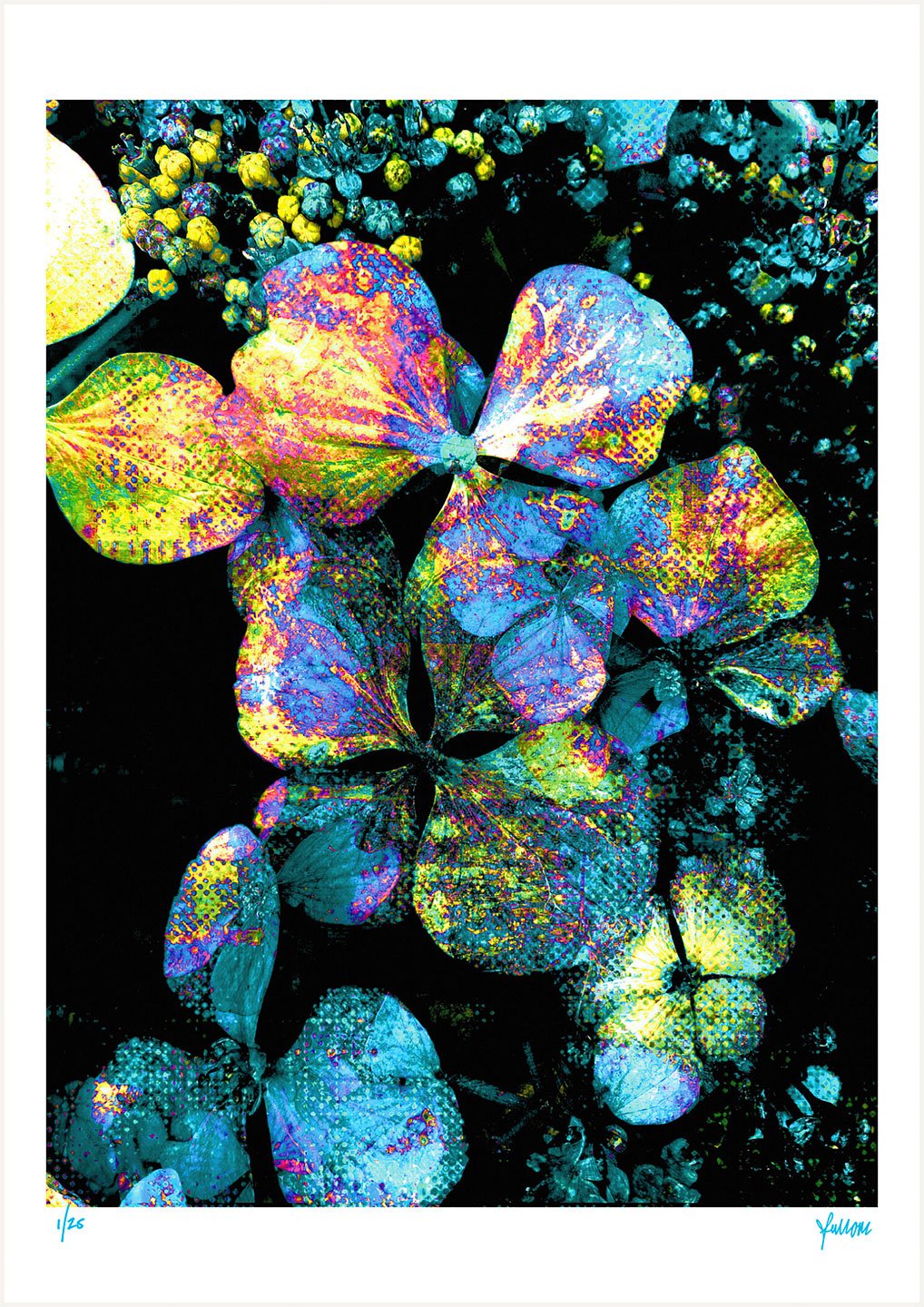 fullOM™ Limited Edition Prints - ":6369-Ca NG/393" fullOM™ Limited Edition Prints - ":6369-Ca NG/393"