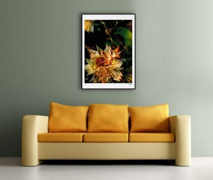 fullOM™ Limited Edition Prints - ":6714-C BX/806"