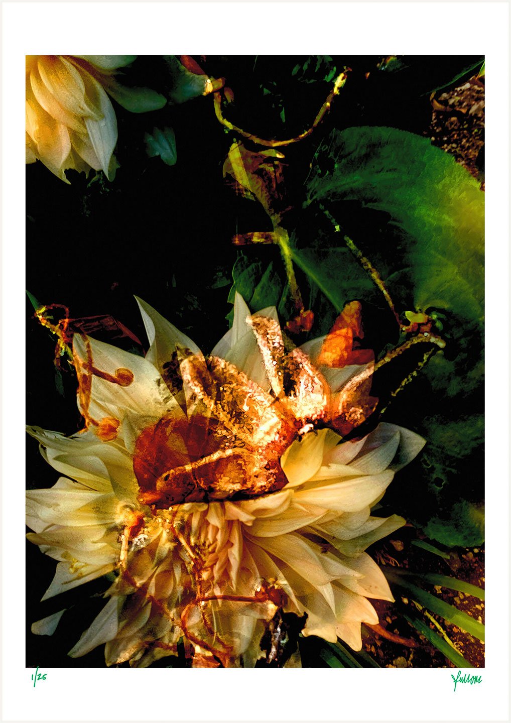 fullOM™ Limited Edition Prints - ":6714-C BX/806" fullOM™ Limited Edition Prints - ":6714-C BX/806"