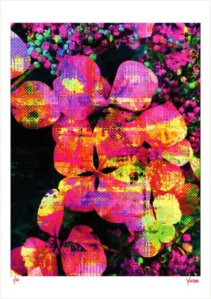 fullOM™ Limited Edition Prints - ":8470-Rn LK/378"