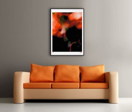 fullOM™ Limited Edition Prints - ":8803-Cs RG/845"