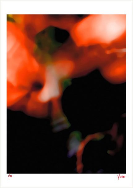 fullOM™ Limited Edition Prints - ":8803-Cs RG/845"