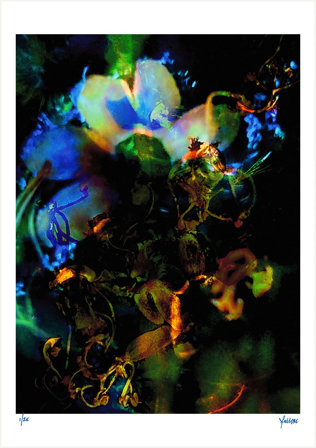 fullOM™ Limited Edition Prints - ":9018-Ta PA/649" fullOM™ Limited Edition Prints - ":9018-Ta PA/649"