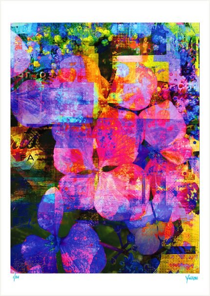 fullOM™ Limited Edition Prints - ":9111-Mo HW/487"