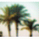 fullOM™ Limited Edition Prints - "Palm"
