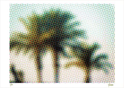 fullOM™ Limited Edition Prints - "Palm"